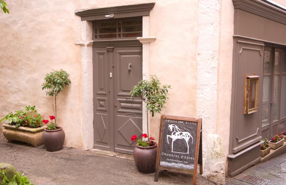 Le Cheval Blanc Bed & Breakfast Saint-Antonin Exterior photo